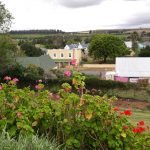 SORGVRY IN ‘N “CRAZY” WêRELD